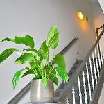 Adoma Hotel
