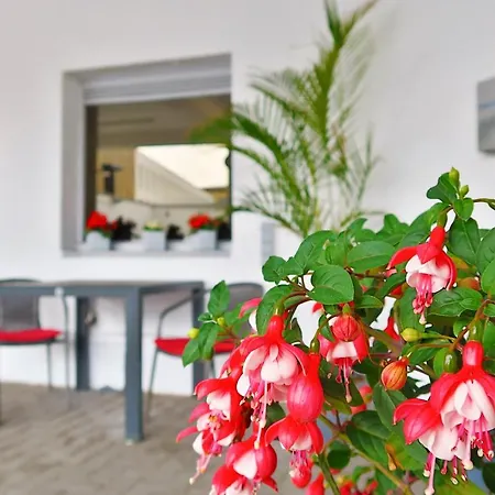 Adoma Hotel Gante