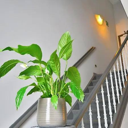 Adoma Hotel
